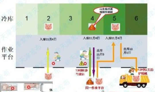 石家庄疫情源头在哪里 疫情来源到底是哪里