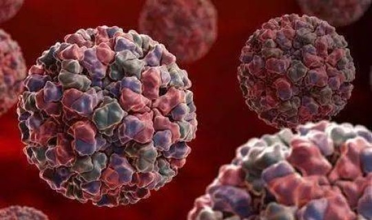 江苏病毒名字 病毒的名字有哪些