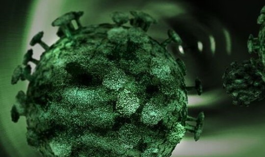 新冠新型毒株症状，毒株的症状