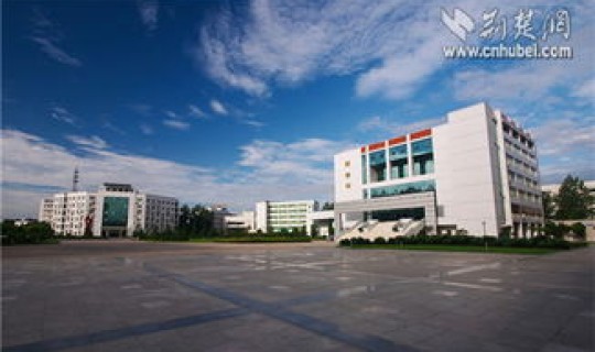 武汉本科院校，湖北一本院校