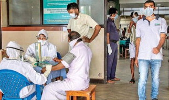 广东最新感染病毒 尼帕病毒中国有吗