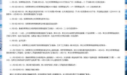 辽宁确诊病例行程轨迹(怎么查看自己的行程轨迹)