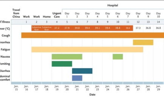 新型冠状病毒数据在哪里看(新型冠状病毒最新消息)