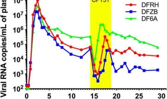 黑龙江最新感染情况数据，黑龙江多少艾滋病患者