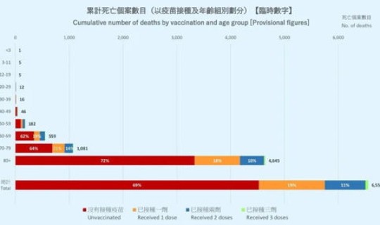 2019疫情死亡人数 2019年新冠疫情