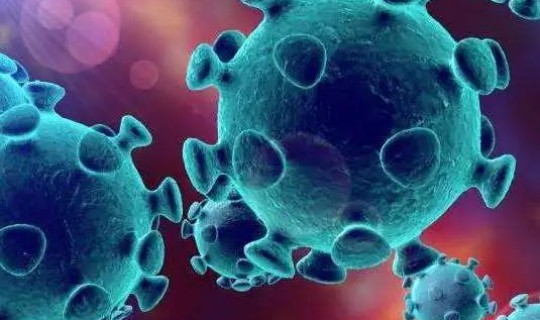 新冠肺炎共感染多少人 冠状病毒肺炎