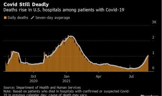 美国新冠死亡人数最新数据(美国新冠总死亡人数)
