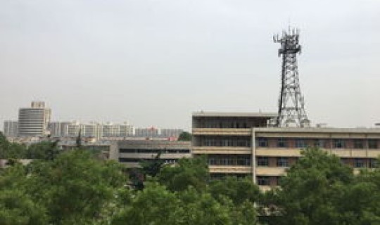 桥西区是属于哪个市区，桥西区是哪个城市