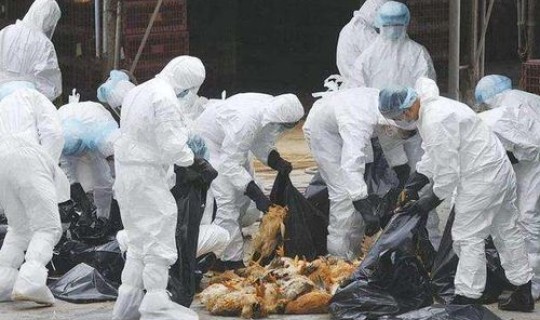 山东发现传染病疫情了吗，18里坡疫情真实吗