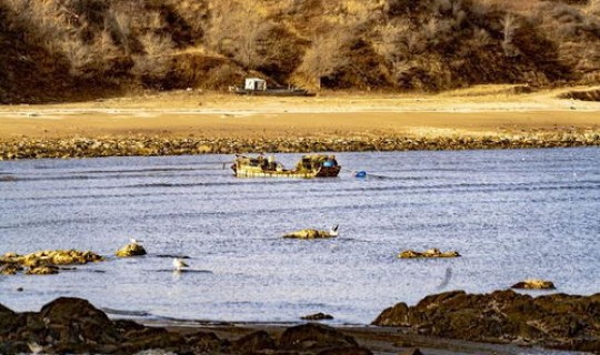 锦州最近有疫情吗(辽宁疫情锦州有影响吗)