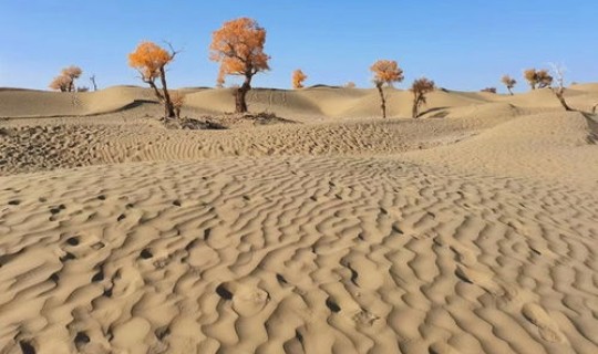 疫情动态新疆(新疆疫情防控最新政策)