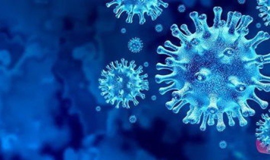 现在又出现新冠病毒了吗(新冠病毒有可能长期存在)