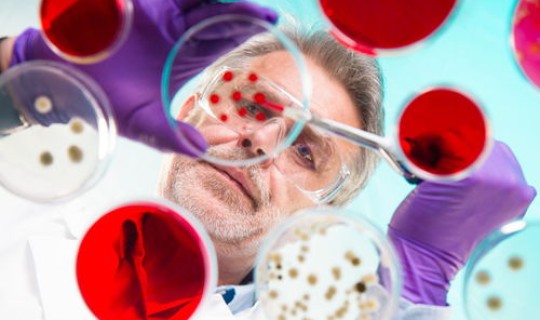 河南有没有病毒感染的(细菌感染和病毒感染)