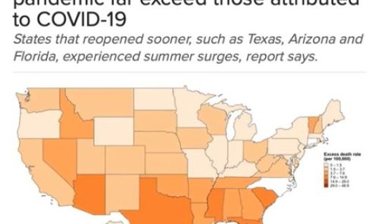 美国至今新冠病毒死亡人数(新冠肺炎致死率)