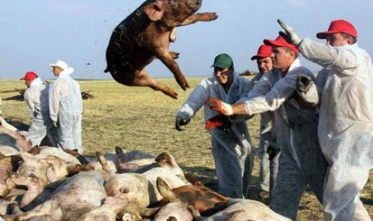 新疆疫情又爆发了吗 疫情大爆发