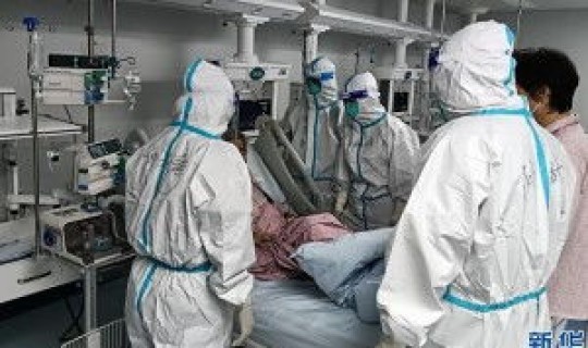 核酸检测费用指导价，流感病毒核酸检测费用