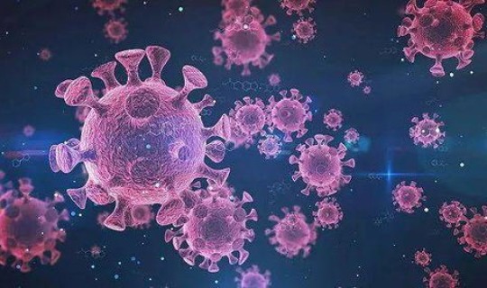 清远新增新冠型病毒？冠形病毒