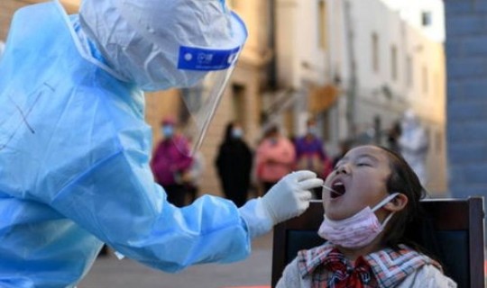 疫情源头已锁定(新型疫情)