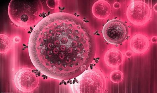 新冠病毒无症状者传染性大吗(hpv病毒会传染家人吗)