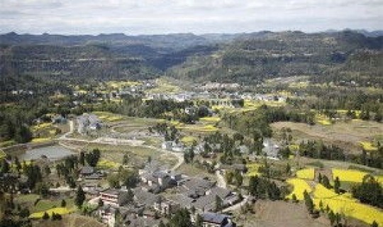 黑龙江望奎县属于哪个区 黑龙江省望奎县有多少个乡镇