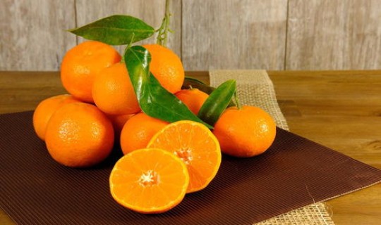 广州摘菜 广州摘沙糖桔的地方