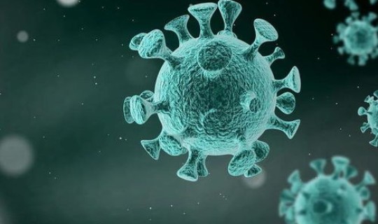 新冠病毒发现的具体时间(最早新冠病毒发现时间)