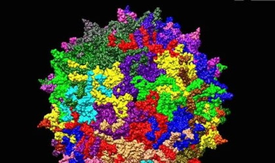 新型冠状病毒北京什么时候有的，新型冠状病毒是什么时候爆发的
