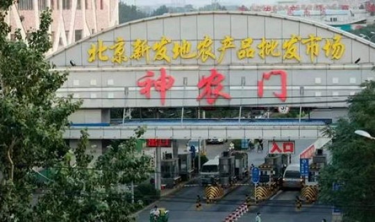 北京新发地疫情始末是什么(北京新发地疫情爆发时间)