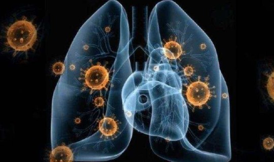 现在新冠病毒在哪里最严重？现在中国哪个地区新冠病毒最严重