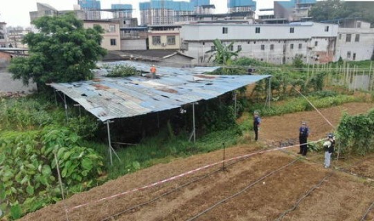 2021年10月23日新冠情况？12319是什么电话