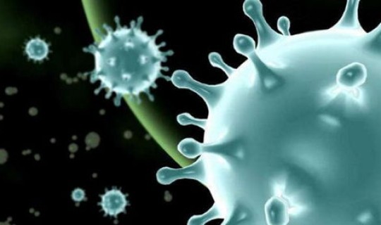 印度变异病毒新症状是什么(新冠变异病毒最新症状)