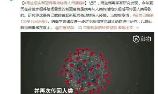 新冠病毒疫情从什么时候开始的？新冠疫情什么时候开始的