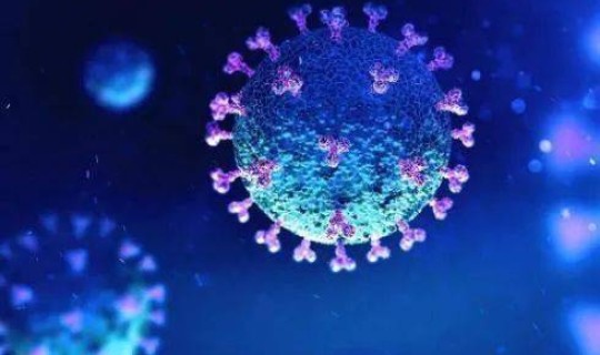 英国新发现新冠病毒患者？一人传欧洲数地