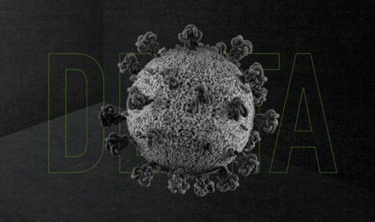 德尔塔毒株 北京生物，什么是德尔塔毒株这种变异新冠毒株来自哪里