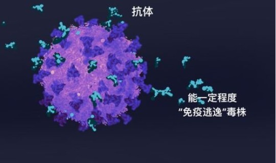 新冠病毒变异毒株德尔塔是什么症状表现，德尔塔毒株是新冠病毒的变异种吗