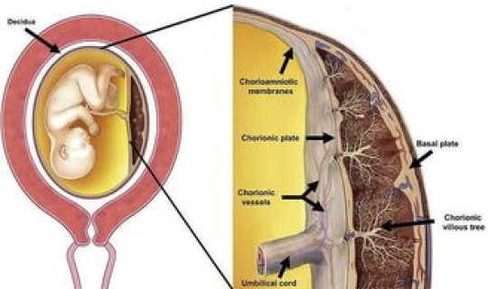 什么是隐匿性病变 隐匿性是什么意思