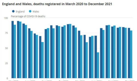 北京新冠疫情死亡情况最新消息(2022各城市疫情死亡人数)