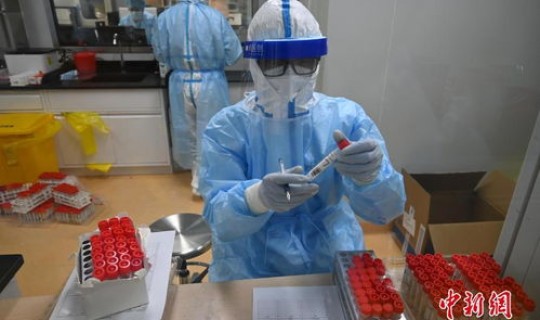 石家庄核酸检测工作人员，石家庄全员核酸检测安排