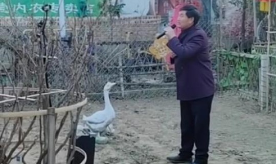 山东菏泽现在有没有疫情，山东省菏泽疫情开放是啥情况