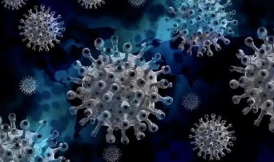 德尔塔毒株是什么病毒感染的症状，什么是德尔塔病毒有什么症状