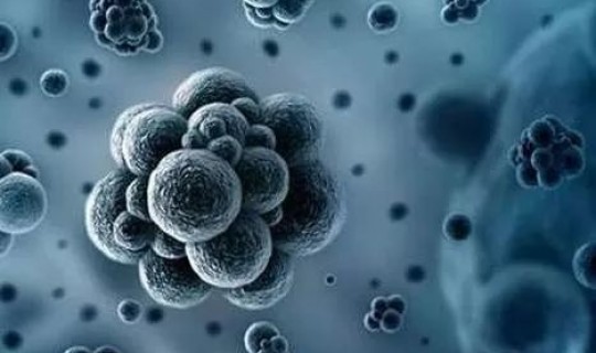 病毒传播需要多久？病毒是怎样传播的