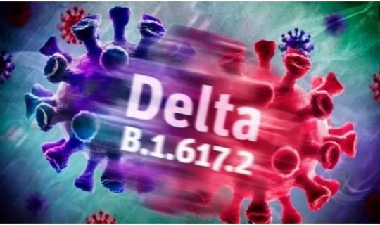 德尔塔变异毒株是什么东西？什么是新冠变异德尔塔毒株