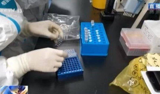 石家庄市区全员核酸检测最新消息	，石家庄全员核酸检测安排