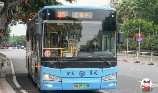 山东坐公交车需要什么(山东省60岁老人免费乘坐公交车包不包括跨城长途车和动车)