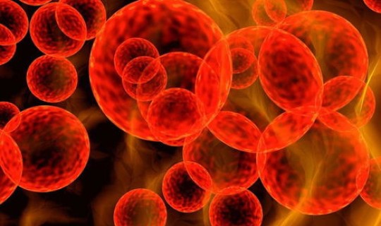 感染新冠病毒死亡？新冠总共死亡人数