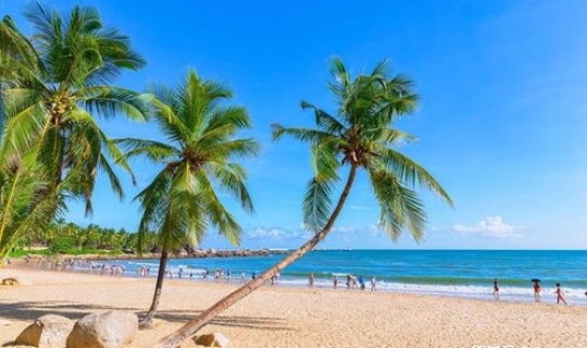 一游客在三亚潜水溺亡 一游客在三亚潜水溺亡是怎么回事