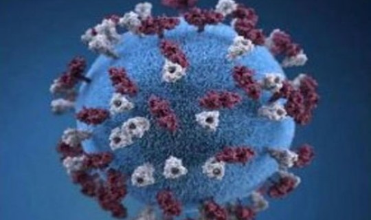 株洲疫情最新动态？株洲疫情爆发时间