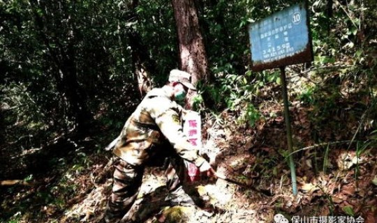 摄影 疫情 抗疫摄影作品