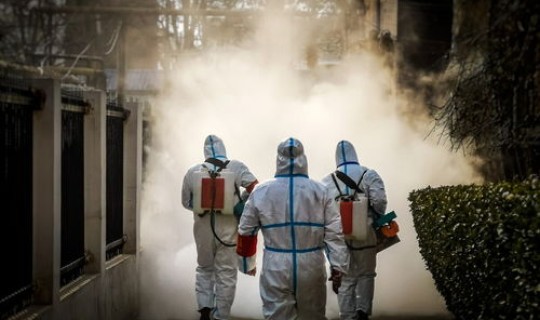 营口辟谣已找到零号病人？辽宁营口辟谣已找到零号病人