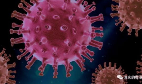 中国本土新冠病毒(现在中国哪个地区新冠病毒最严重) 中国本土新冠病毒(现在中国哪个地区新冠病毒最严重)